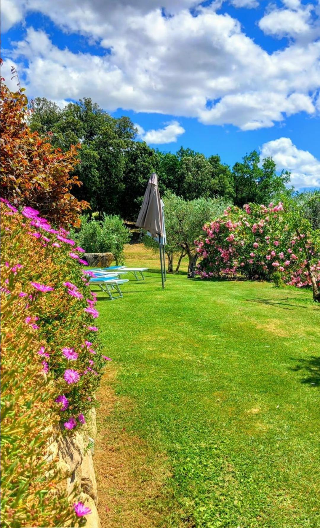 Casolare Il Moro Monte San Savino Exterior foto