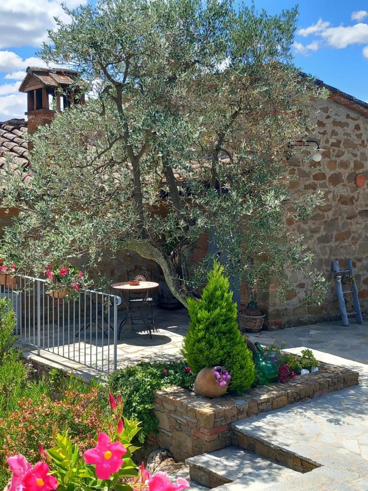 Casolare Il Moro Monte San Savino Exterior foto